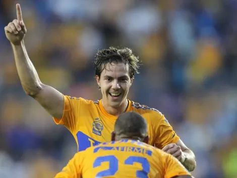 Los Felinos están de vuelta