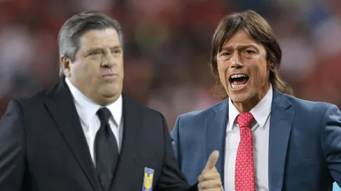 Miguel Herrera y Matías Almeyda, ¿juntos en Qatar?