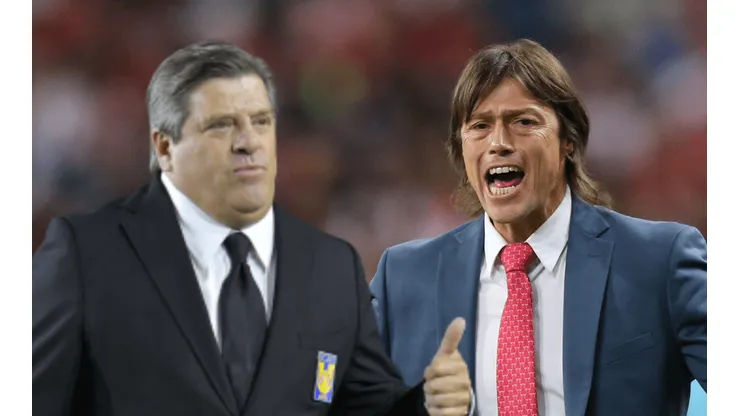 Miguel Herrera y Matías Almeyda, ¿juntos en Qatar?