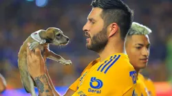 André-Pierre Gignac el Día del Perro previo al partido contra Atlas.