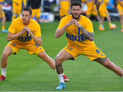 Una de las figuras de Tigres le causa preocupación a Miguel Herrera