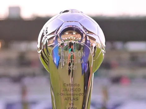 Liguilla y Repechaje al momento