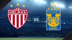 Necaxa vs. Tigres por la Liga MX.