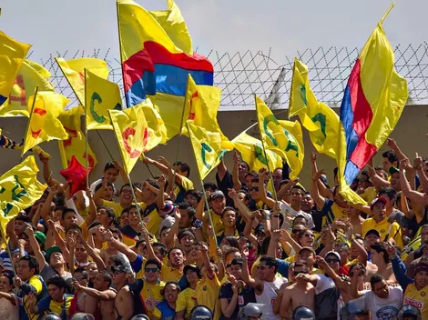 ¿Cómo se vive dentro de una barra en México?