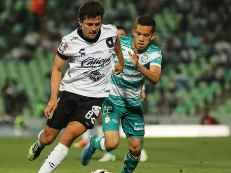 ¿Hace cuánto que no ganan los Guerreros y los Gallos Blancos?