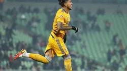 ¿Salcedo se despide de Tigres?