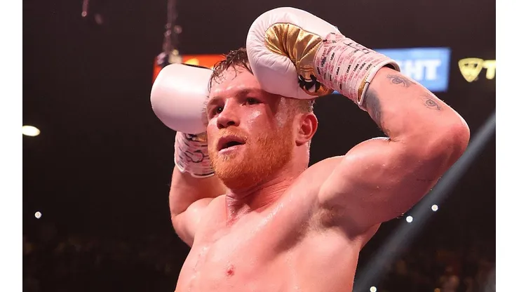 Canelo Álvarez es campeón de cuatro divisiones (Photo by Al Bello/Getty Images)