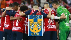 Tigres quiere arrebatarle su estrella al Guadalajara.