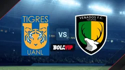 Tigres UANL vs. Venados.