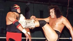 El Perro Aguayo, el ídolo que se transformaba en un salvaje arriba del ring. (Foto: RudoVision)