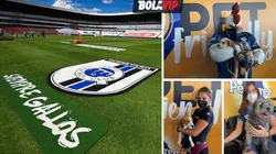 La Corregidora, primer estadio Pet Friendly de manera permanente.