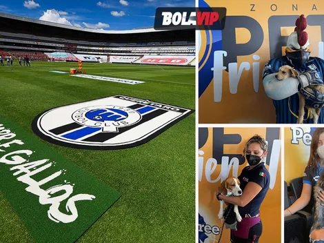 El primer estadio de futbol Pet Friendly es mexicano