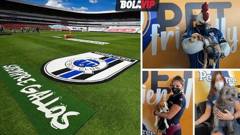 La Corregidora, primer estadio Pet Friendly de manera permanente.