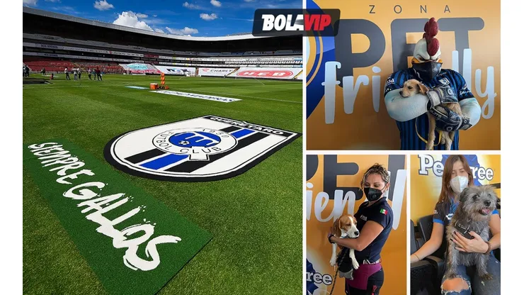 La Corregidora, primer estadio Pet Friendly de manera permanente.