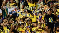 Los fanáticos tienen motivos de sobra para celebrar