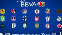 Foto: Página oficial de la Liga MX.