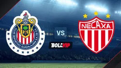 Chivas de Guadalajara jugará ante Necaxa por la Liga MX