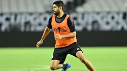 Araujo considera que hay poco que ganar ante Honduras.