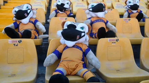 La capacidad del estadio Universitario se reduciría al 50 por ciento.