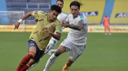 Luis Fernando Díaz brilla con la Selección colombiana.