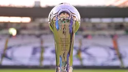 Trofeo de campeón de la Liga MX.