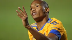 Luis Quiñones continuará su carrera en Tigres UANL