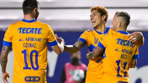 Tigres UANL, Liga MX