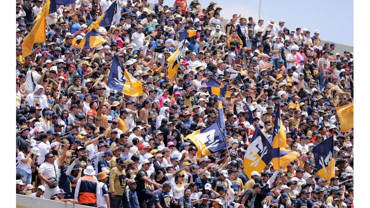 Pumas habría ignorado denuncia de jugador que recibió amenzas de la porra Universitaria.