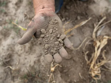 Así será el Doodle de Google por el Día Internacional de la Tierra 2023 (FOTO)