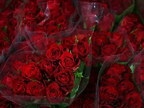 ¿Por qué se regalan 20 rosas en abril en México?