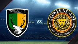 Venados vs Leones Negros EN VIVO por la Liga de Expansión MX 2023 por TV Azteca Deportes