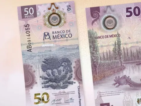 ¿Por qué pagan hasta 800 mil pesos por este billete de 50?