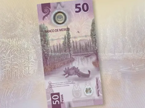 Así puedes reconocer el billete de 50 pesos por el que pagan 455 mil