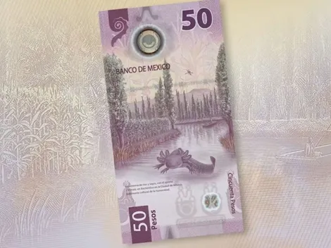 Así puedes reconocer el billete de 50 pesos que se vende en 300 mil pesos