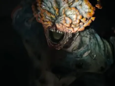 ¿En verdad existe el hongo de The Last of Us?