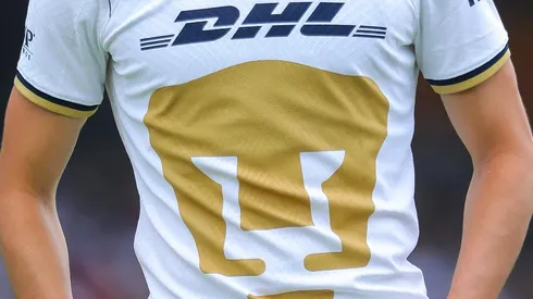 Nuevo refuerzo Felino.