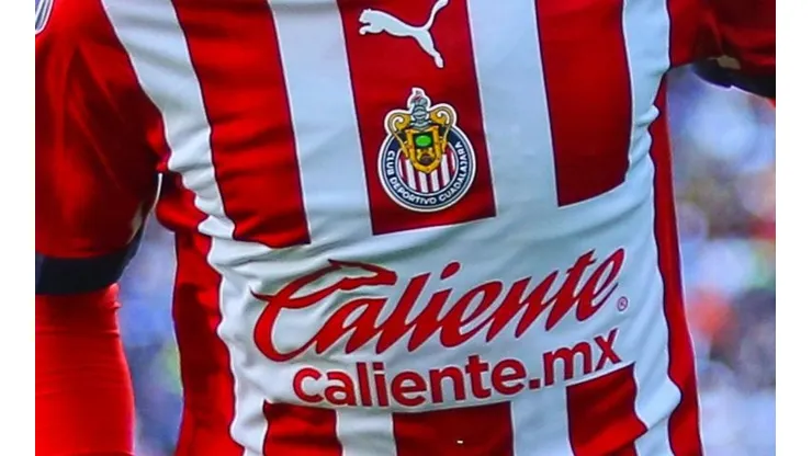 Chivas se mete de lleno en el mercado.