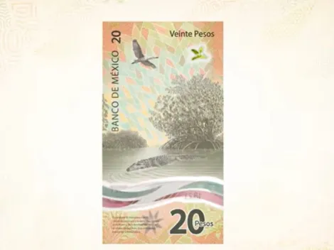 ¿Tienes estos dos billetes de 20 pesos?: Pagan 200 mil pesos por ellos