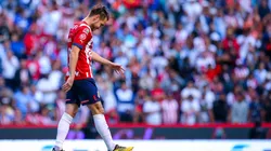 Canelo Angulo continuará su carrera en León