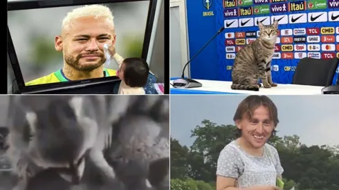 Memes eliminación de Brasil