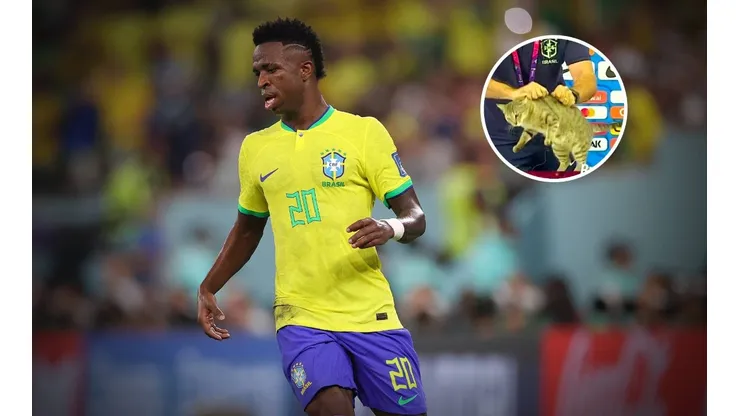 Vinicius Jr. presenció un incómodo momento con un gato