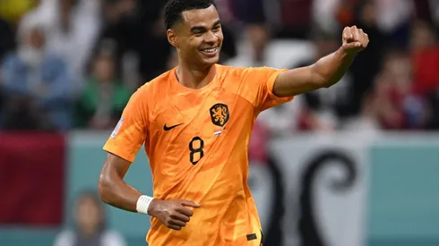 Países Bajos derrotó a Qatar y se clasificó en primer lugar