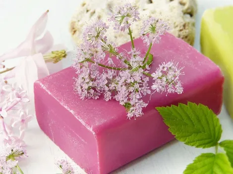 Y sí, sí está el Zote: ¿Cuáles son los mejores jabones según Profeco?