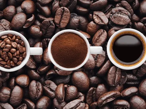 Cuál es el peor café soluble, según la Profeco