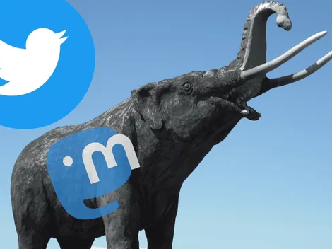 Mastodon, la red social que busca ‘robarse’ a los usuarios de Twitter