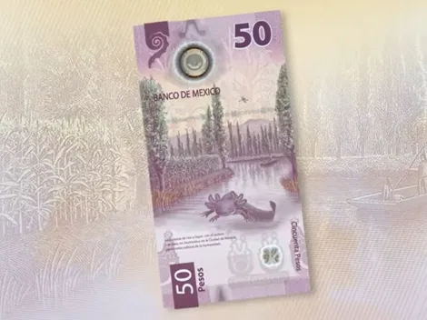 Así puedes reconocer el billete de 50 pesos que vale hasta 2 millones de pesos