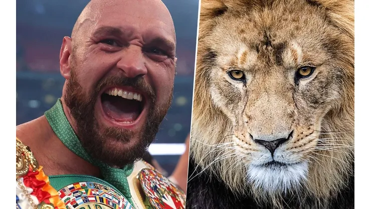 VIDEO VIRAL: Utilizó un león real para llamar a pelear a Tyson Fury