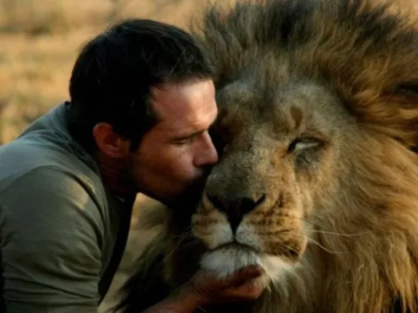 Con todo menos con miedo: ¿qué signo es el más valiente?