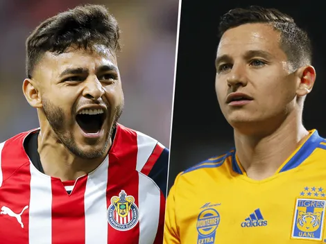 ¿Cómo quedaron Chivas de Guadalajara vs. Tigres UANL por la Liga MX?