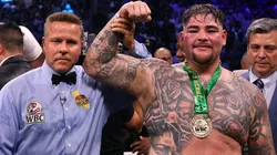 Categórica victoria de Andy Ruiz, tras mandar tres veces a la lona a Luis Ortiz